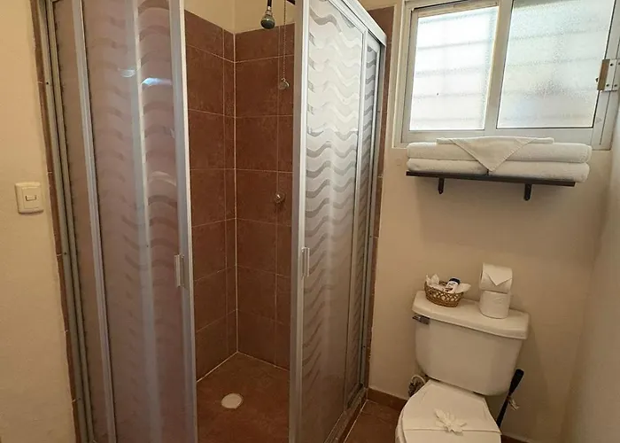 Vive Playa Estudio Centrico Apartment Playa del Carmen